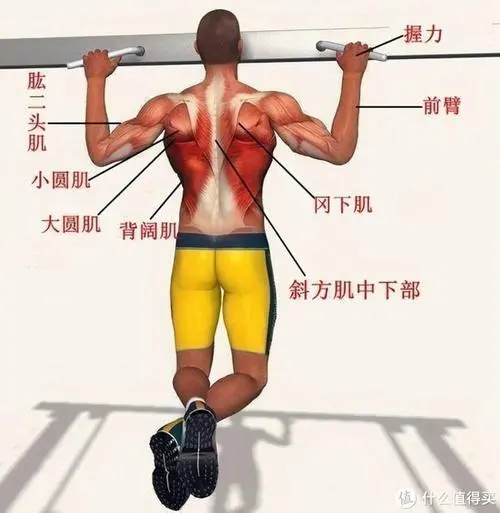 室内健身提示语